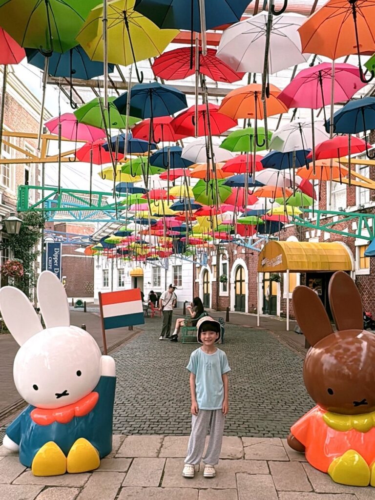 Huis Ten Bosch illumination