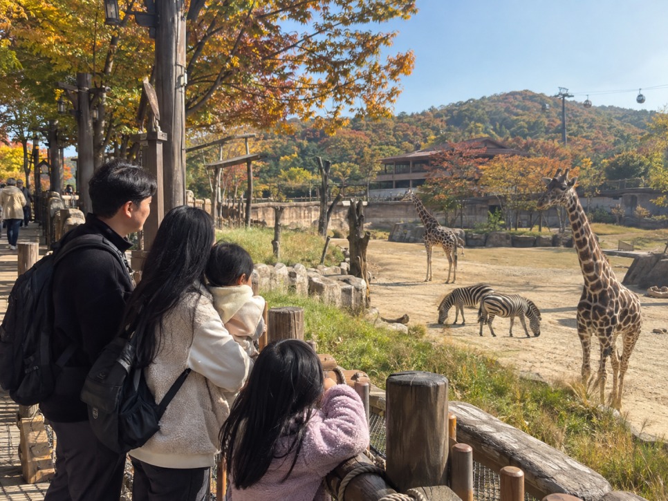 Walking safari trail in the Wild Savanna Expedition