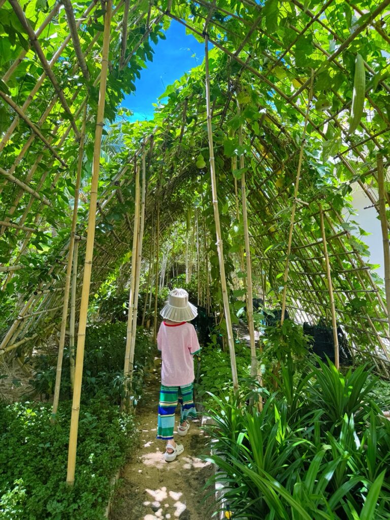 Resort pathway