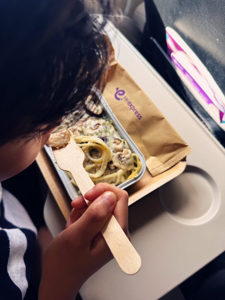 In-flight meal