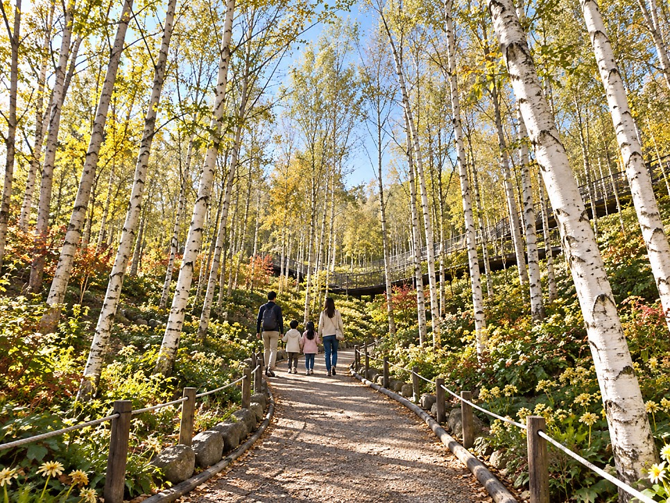Moss garden at Hwadam Botanic Garden