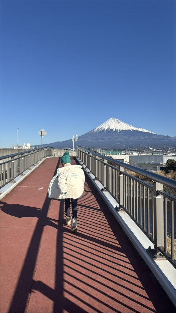 Mount Fuji views: Mount Fuji from Shizuoka