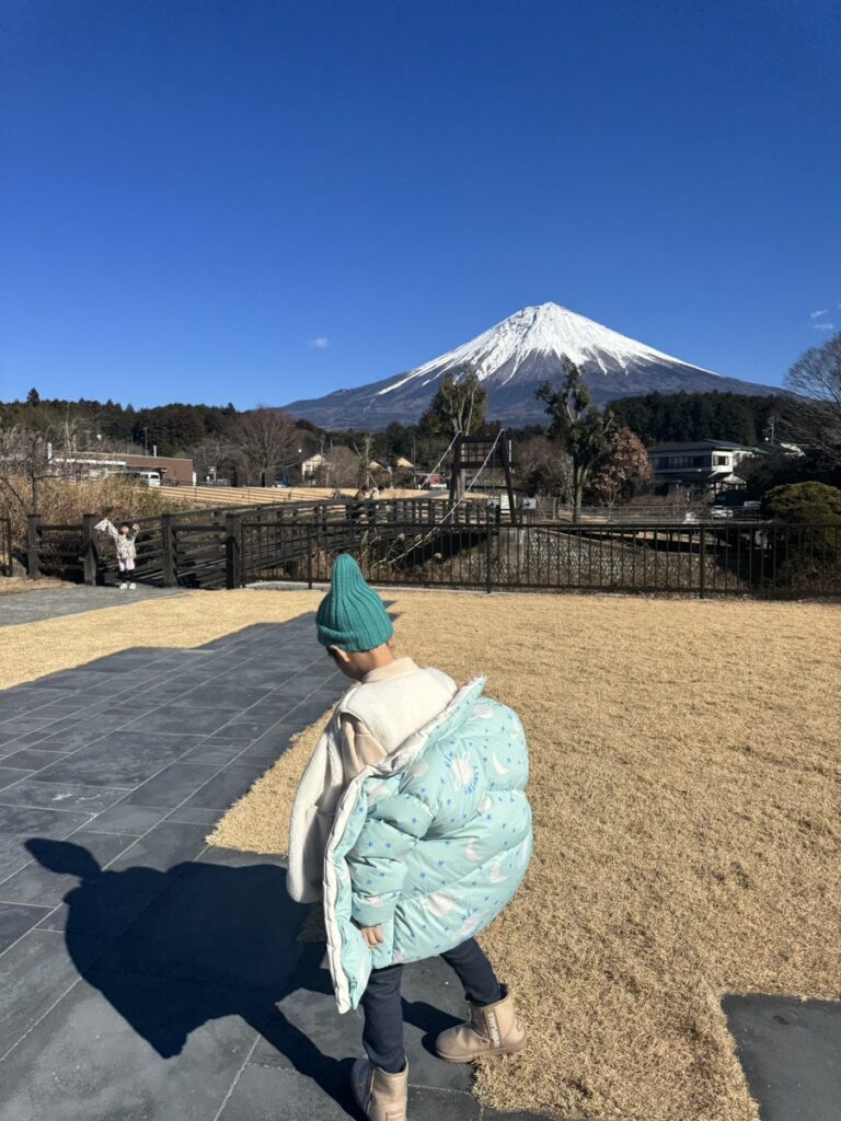 시즈오카 후지산 시라이토 폭포, 후지산과 함께 즐기는 자연 명소