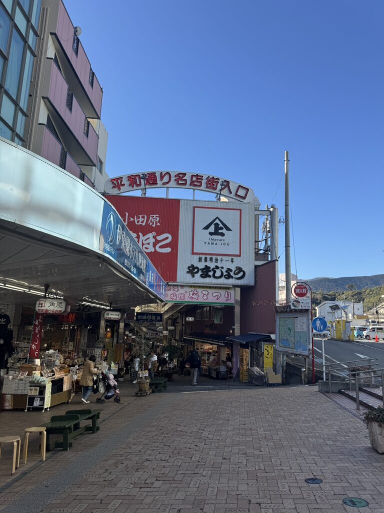 이즈반도 당일치기 아타미역 주변 타베아루키, 길거리 음식 먹방