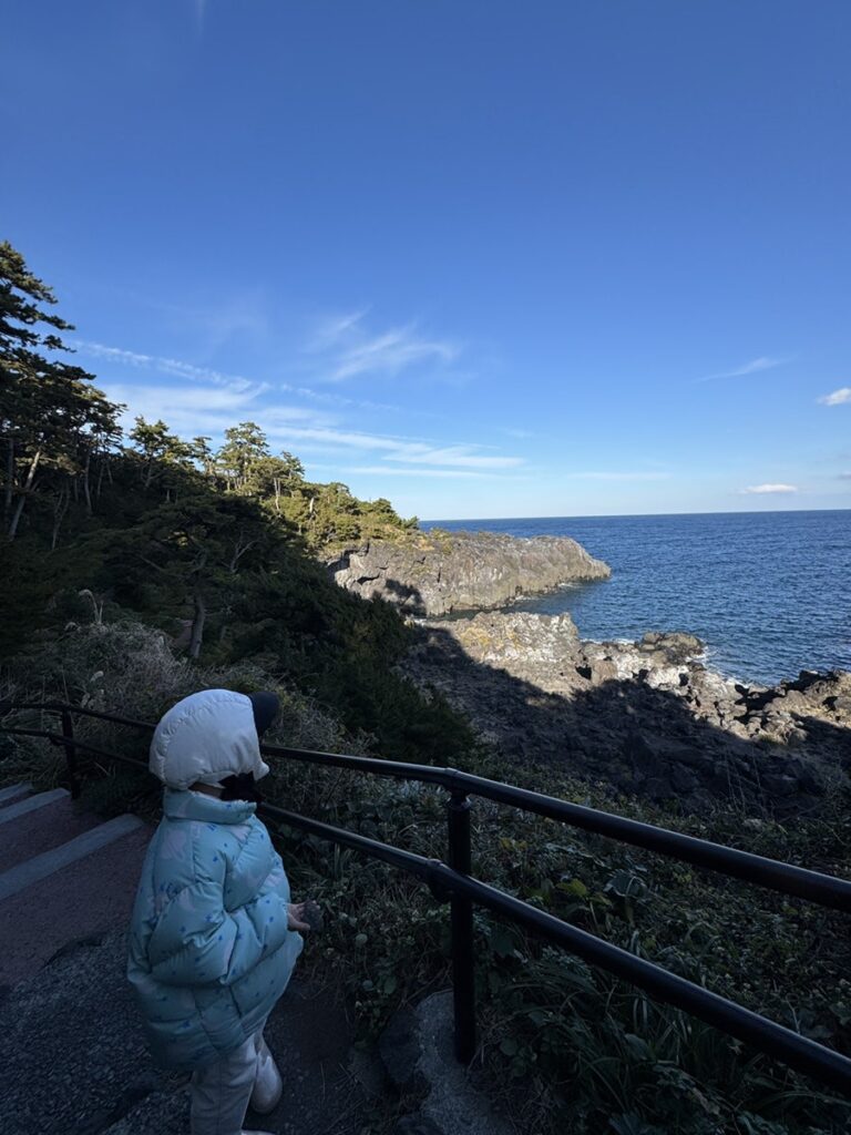 이즈반도 당일치기 조가사키 해안, 용암이 만든 절경
