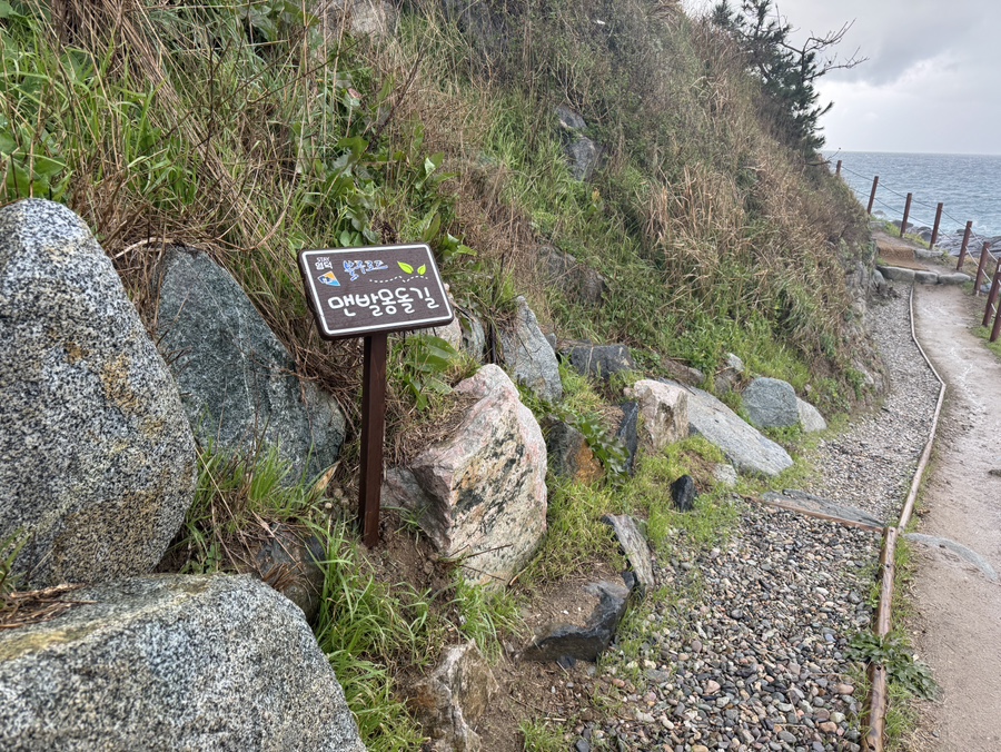 영덕 아이와 가볼만한곳 블루로드 B코스