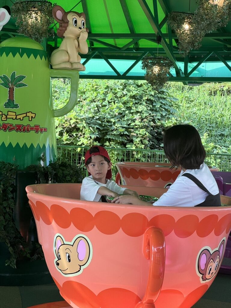 Rides