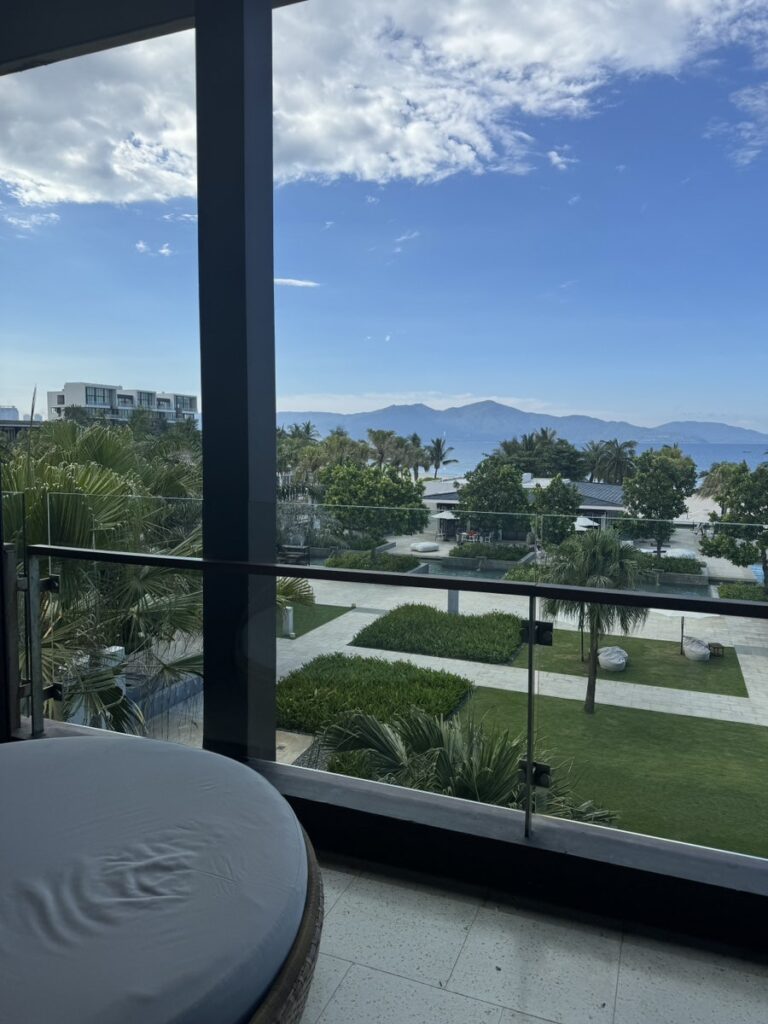 Window view