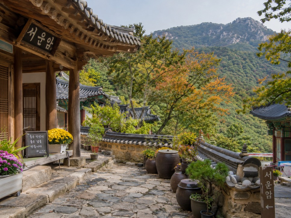 통도사 메밀밭 통도사 메밀밭과 함께 가볼 만한 곳