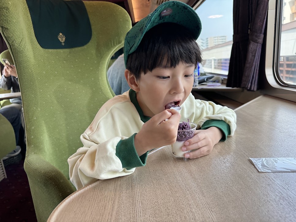 긴테츠 레일패스 긴테츠 레일패스로 타는 관광 특급열차 아오니요시