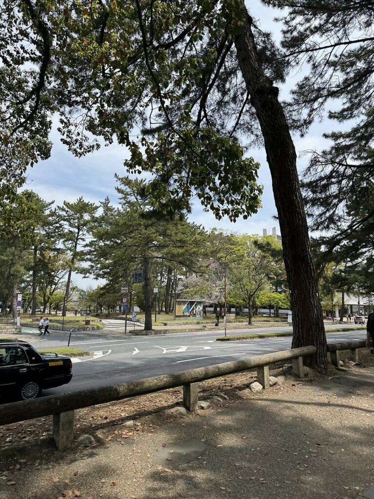 긴테츠 레일패스 나라 사슴공원