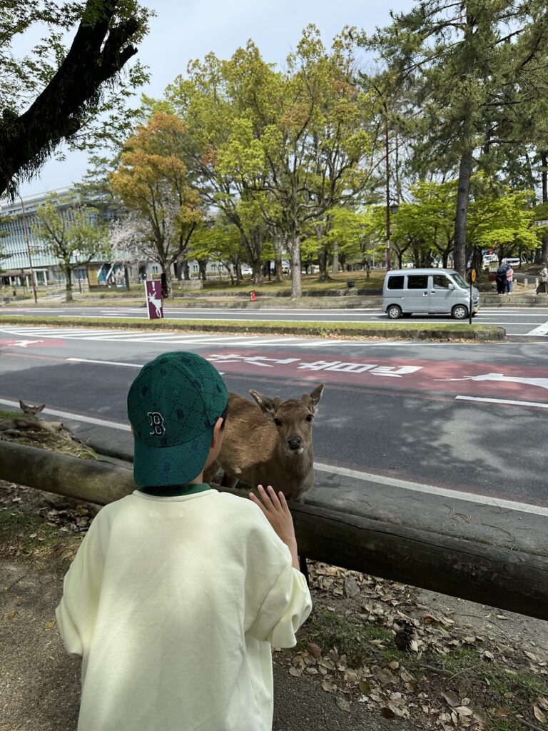 긴테츠 레일패스 나라 사슴공원