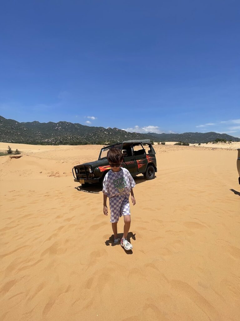 Desert landscape