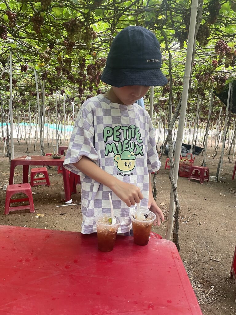 Picking grapes, photo 2
