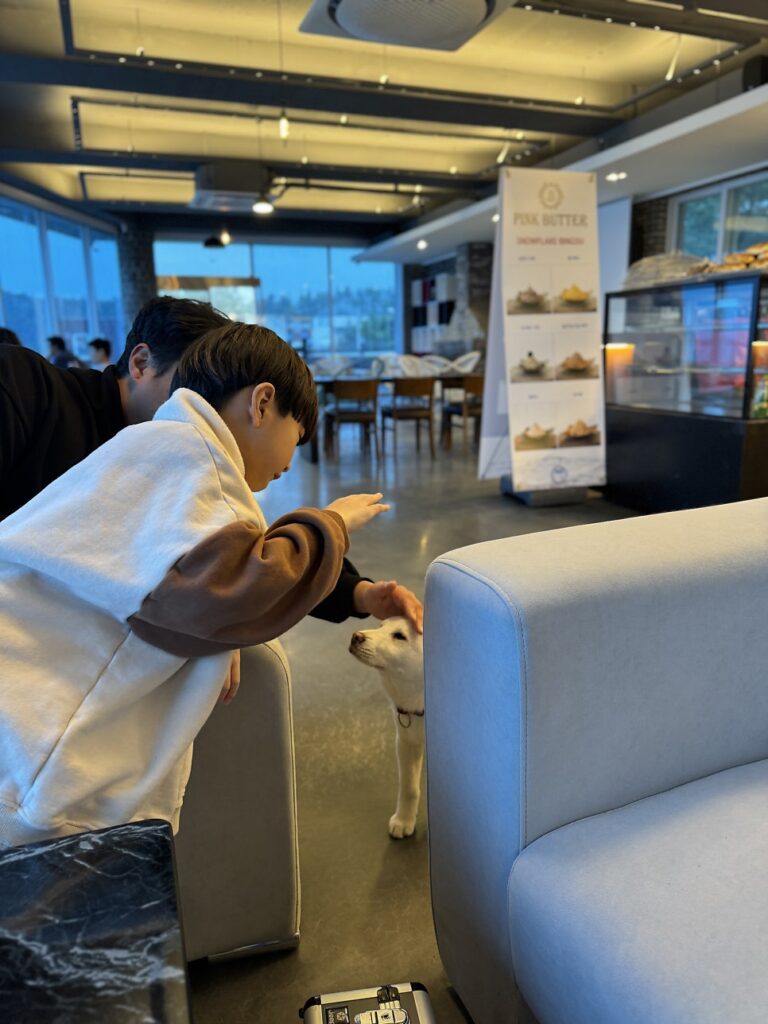 Dog-friendly cafe