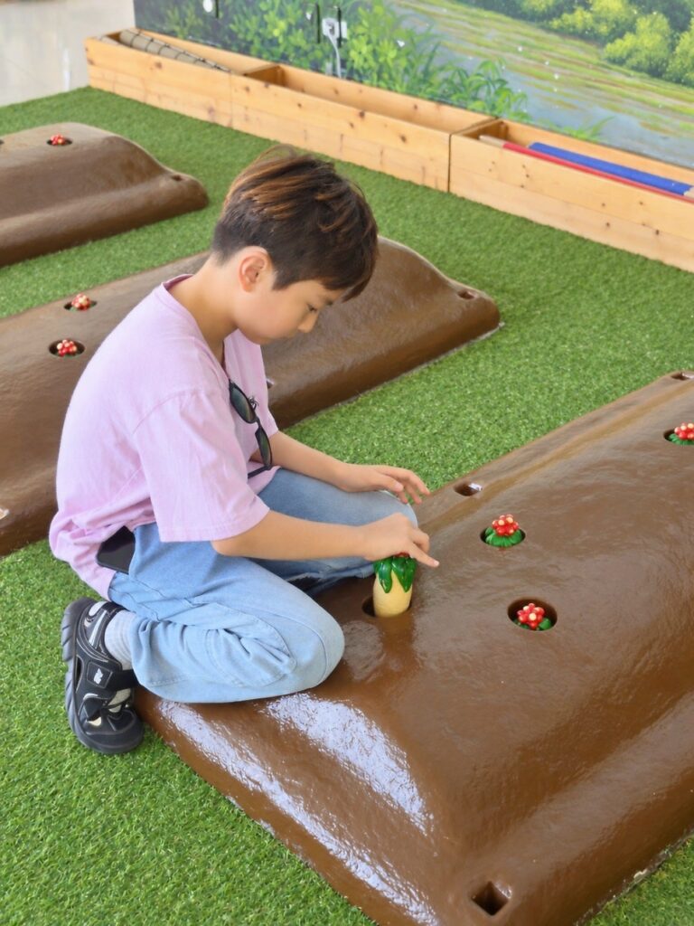 풍기인삼축제 🌱 인삼을 제대로 알고 싶다면 인삼박물관
