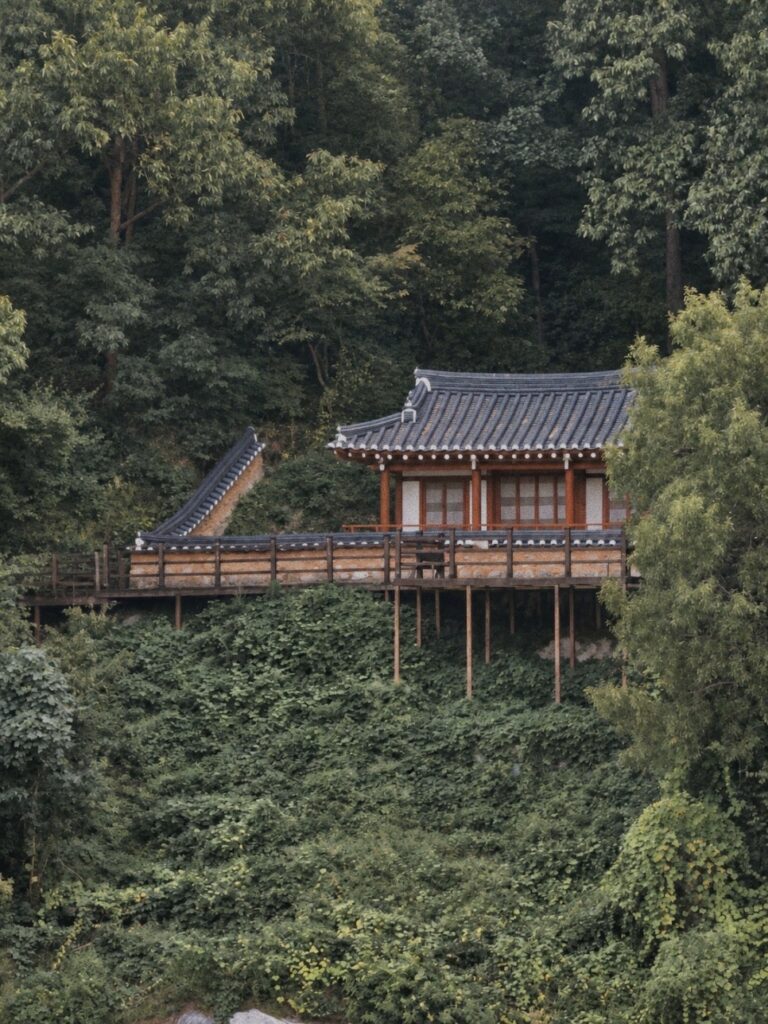 풍기인삼축제 🏛 아이와 영주여행이라면 소수서원도 함께
