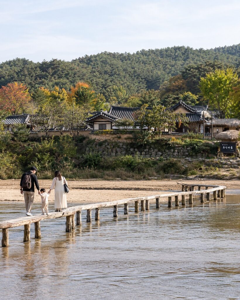 풍기인삼축제 🌾 무섬마을까지 간다면 2026년에는 더 특별해요