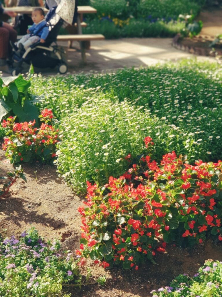 Yans among the flowers