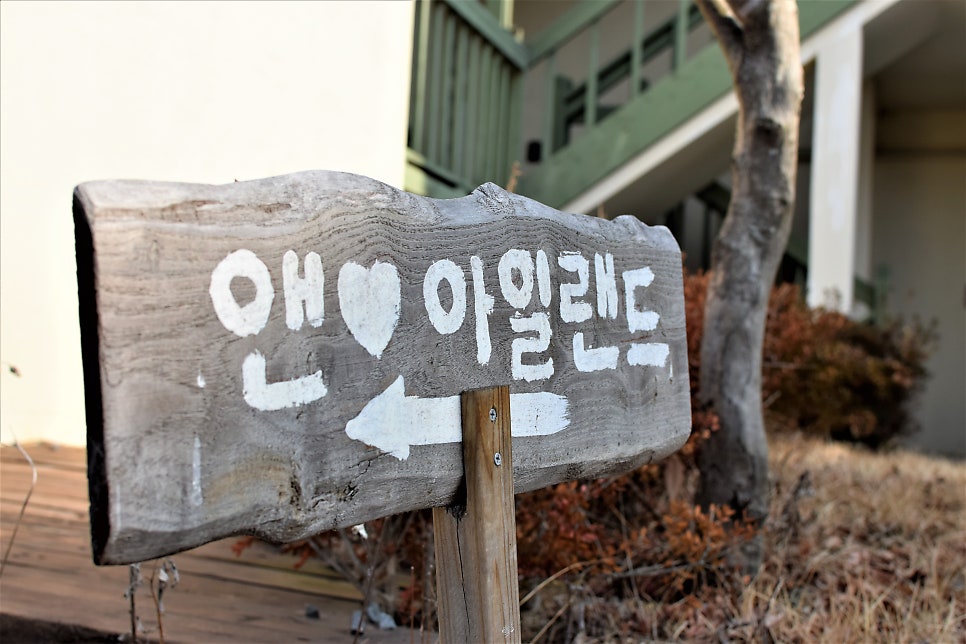 An Island Pension Anmyeondo: An Island Pension in Anmyeondo