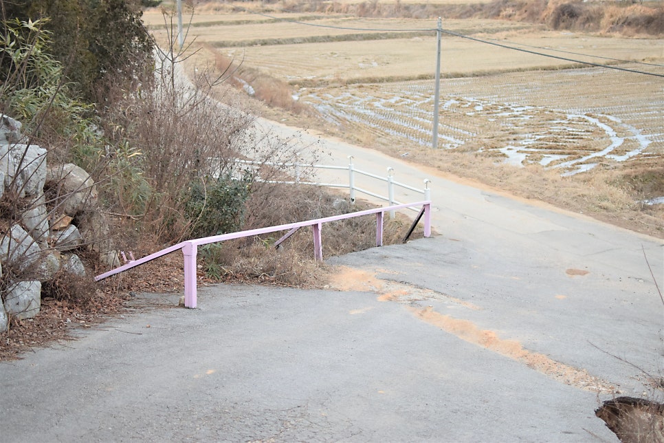 앤아일랜드 펜션