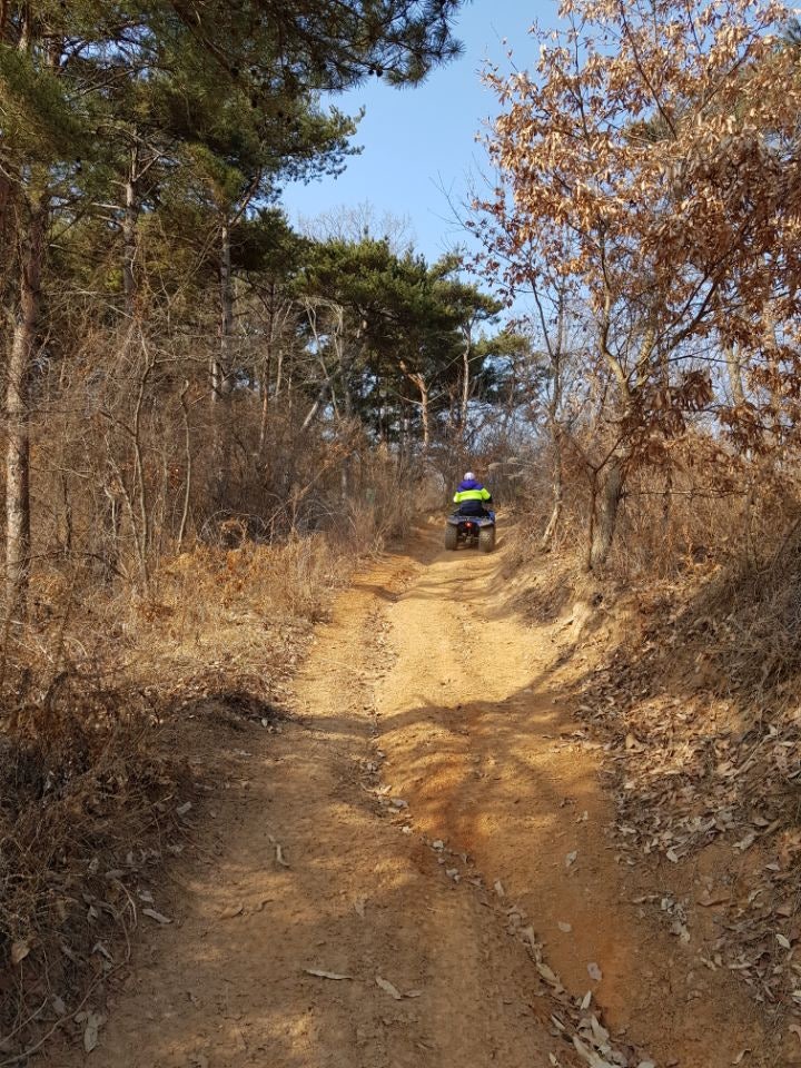 앤아일랜드 펜션