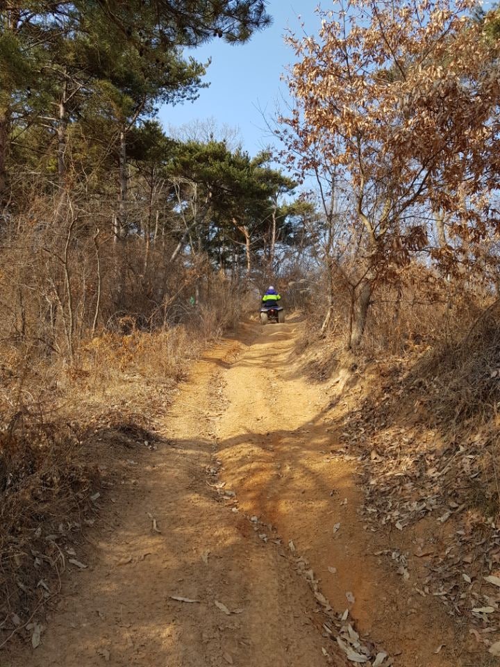 앤아일랜드 펜션