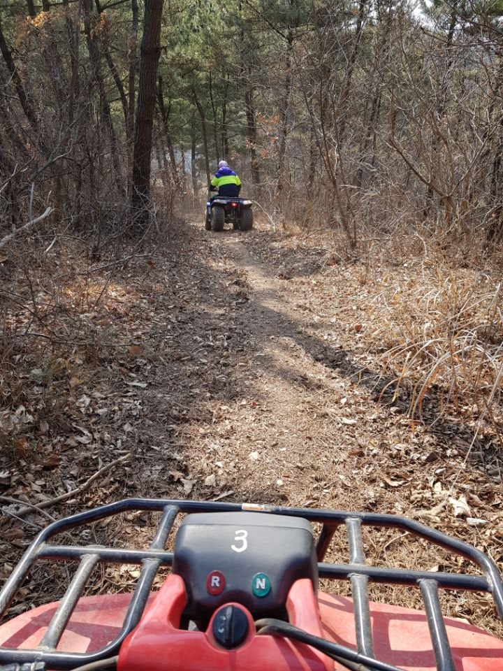 앤아일랜드 펜션