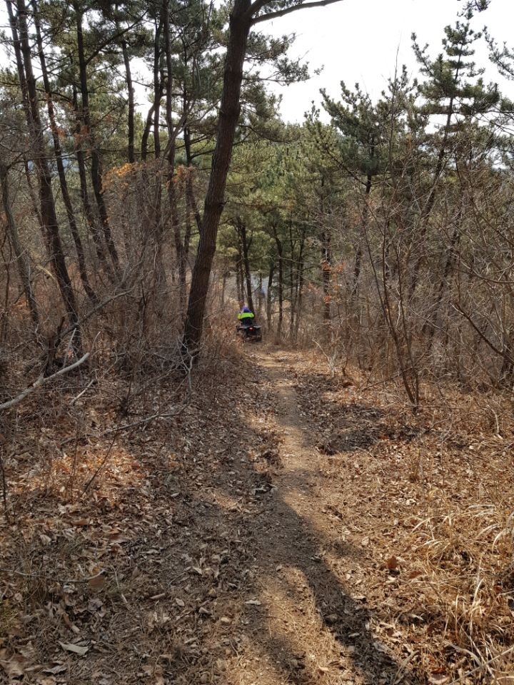 앤아일랜드 펜션