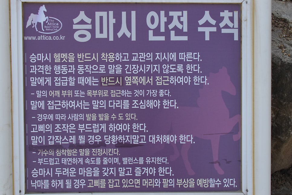 앤아일랜드 펜션