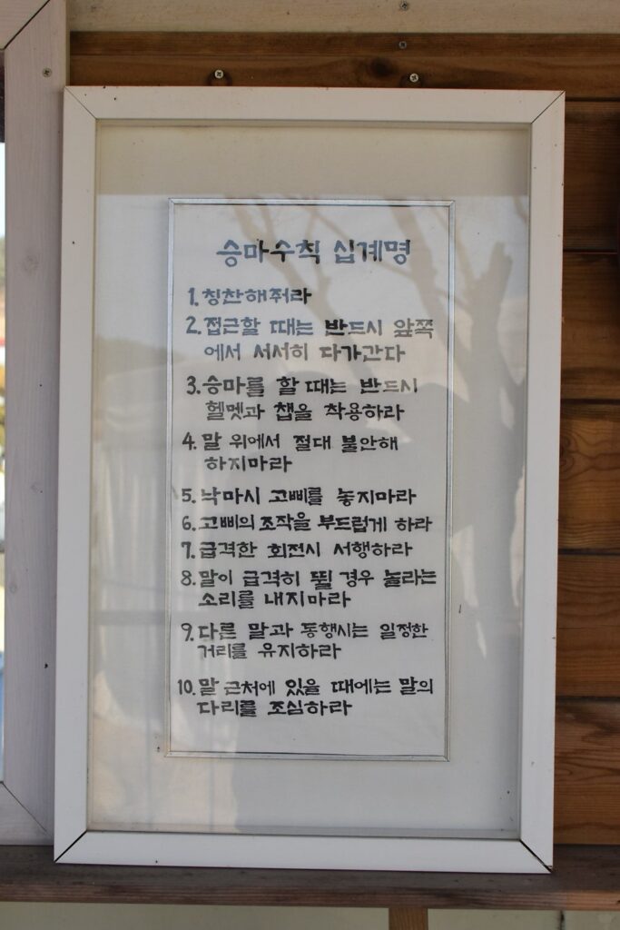 앤아일랜드 펜션
