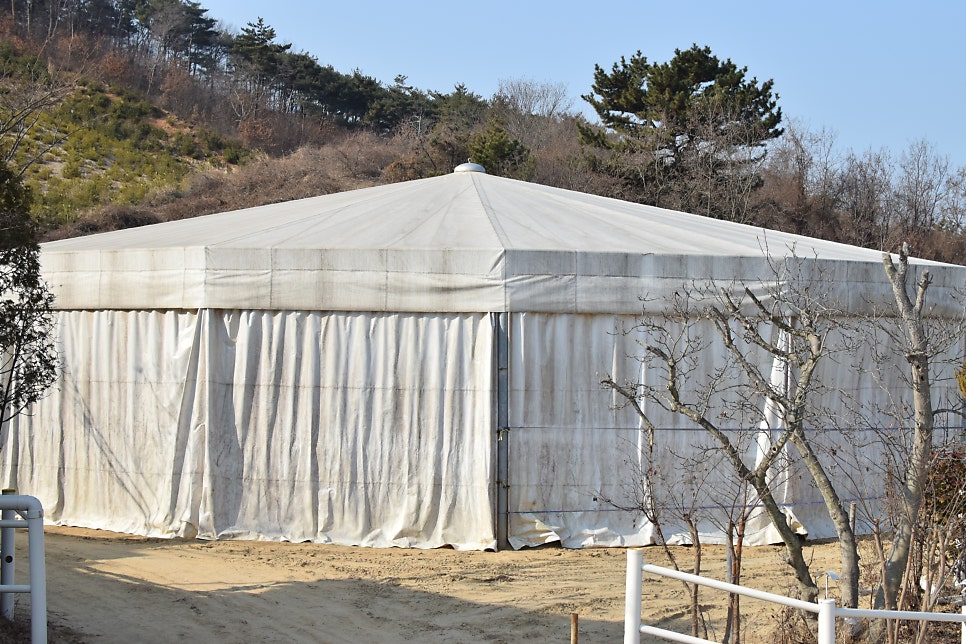 앤아일랜드 펜션