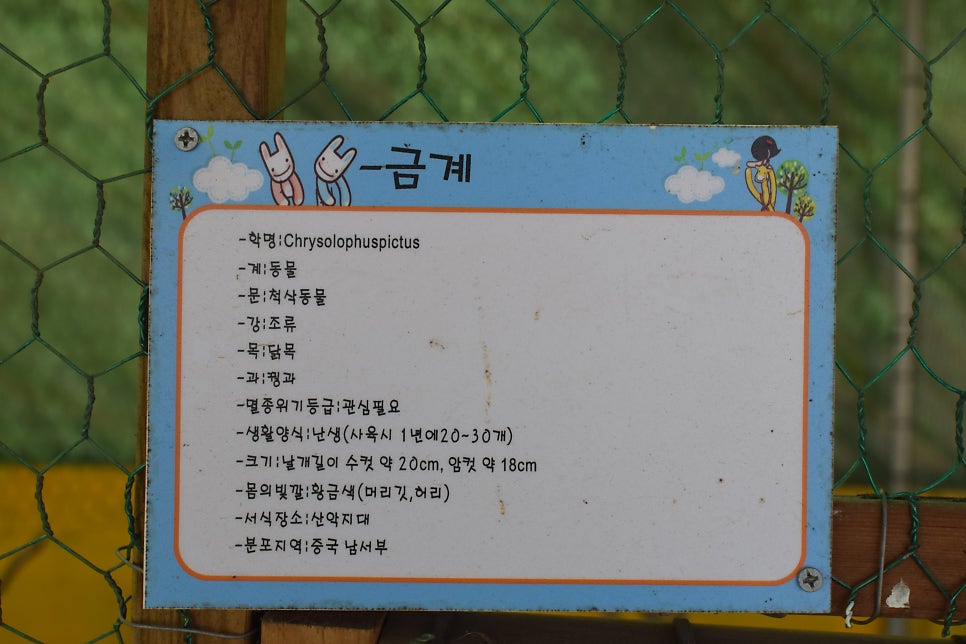 앤아일랜드 펜션