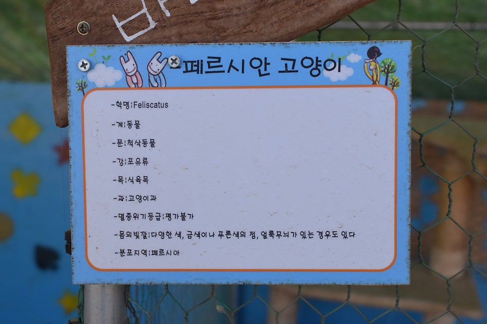 앤아일랜드 펜션