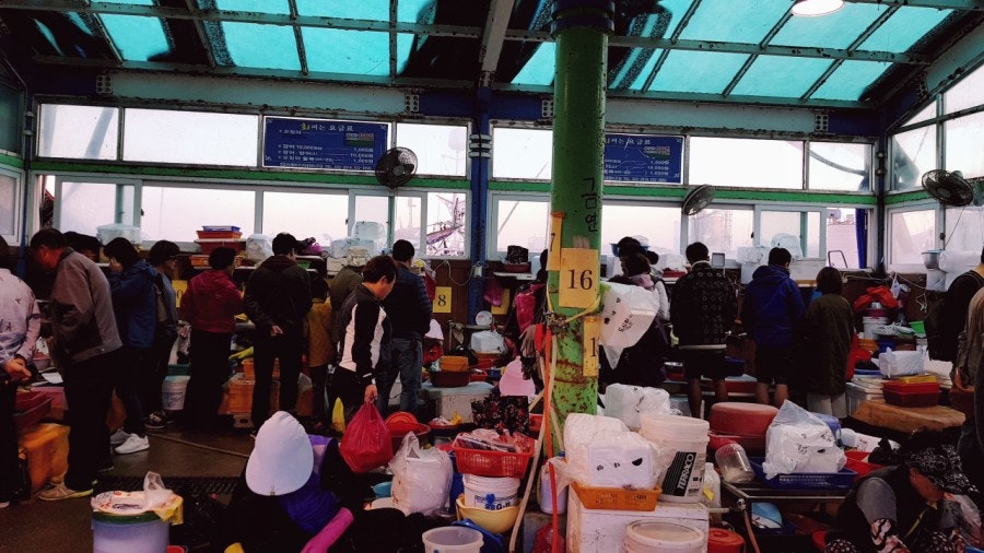 Sashimi stalls, photo 2