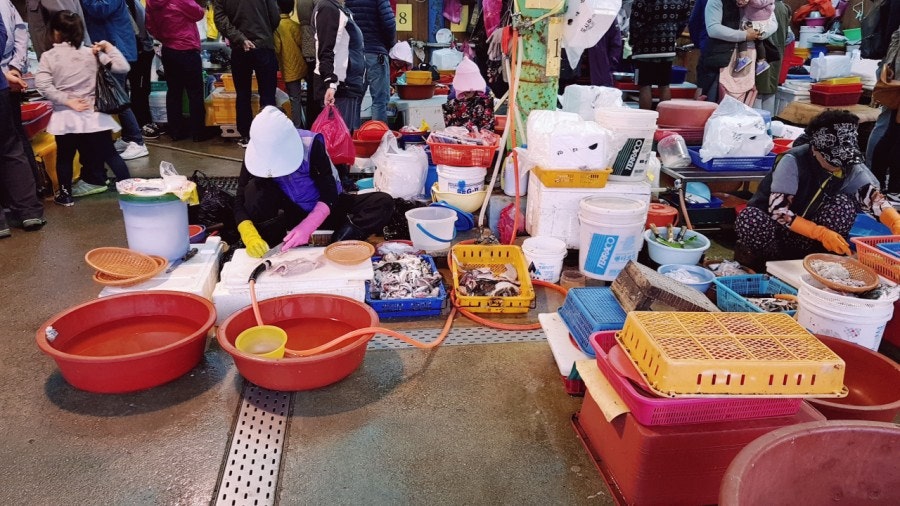 Sashimi stalls, photo 3