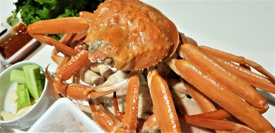 Snow crab close-up