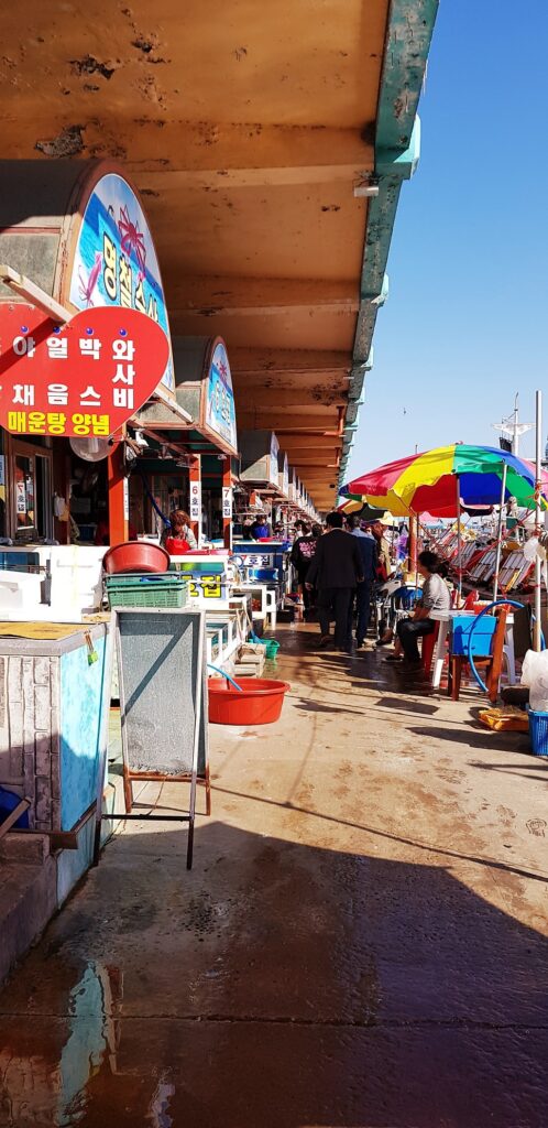 Seafood market at Samcheok Port