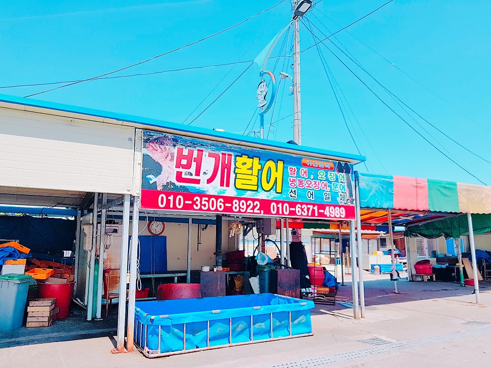 삼척 번개시장
