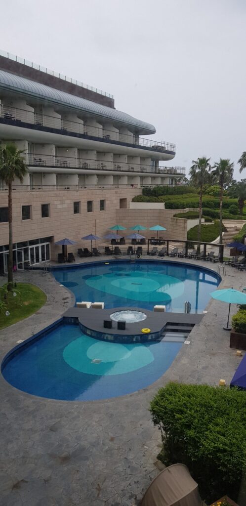 Ground-floor outdoor pool, photo 3