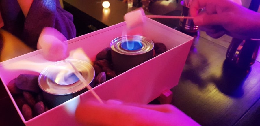 Roasting marshmallows