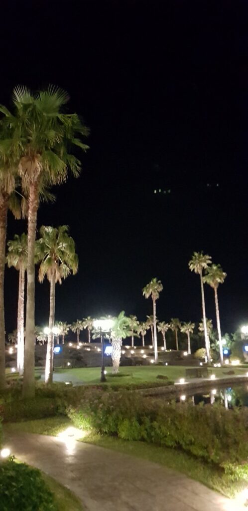 Palm trees at Kensington Hotel Jeju