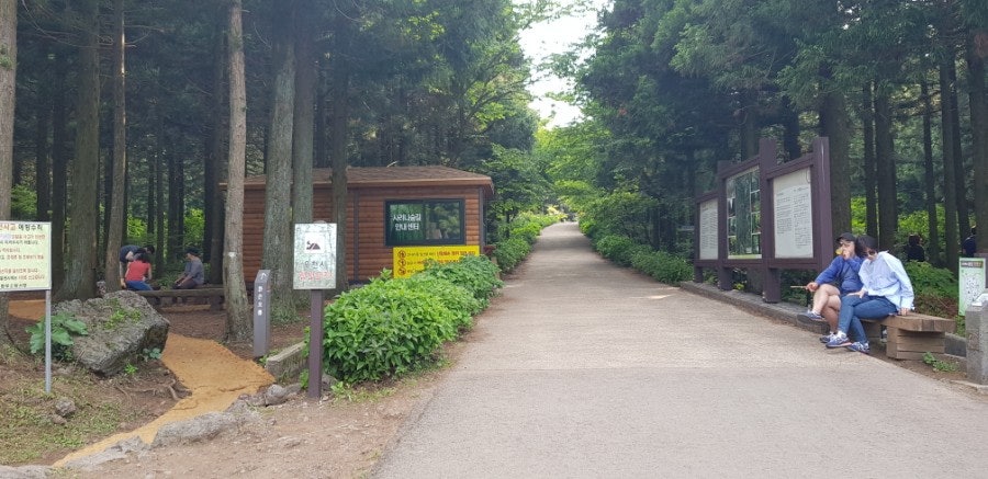 Saryeoni Forest trail, photo 2