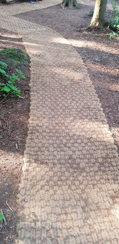 Saryeoni Forest trail, photo 5