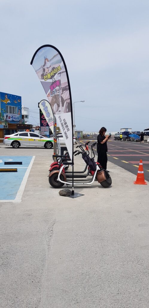 Electric bike rental