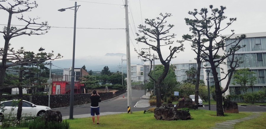 파우제인제주
