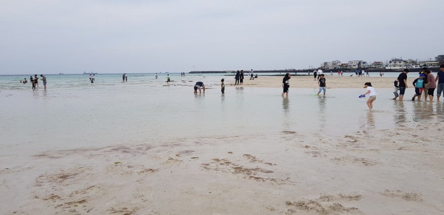 Hyeopjae Beach white sand and shallow water, photo 4