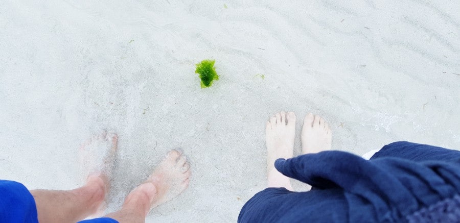 Hyeopjae Beach shoreline in May, photo 7