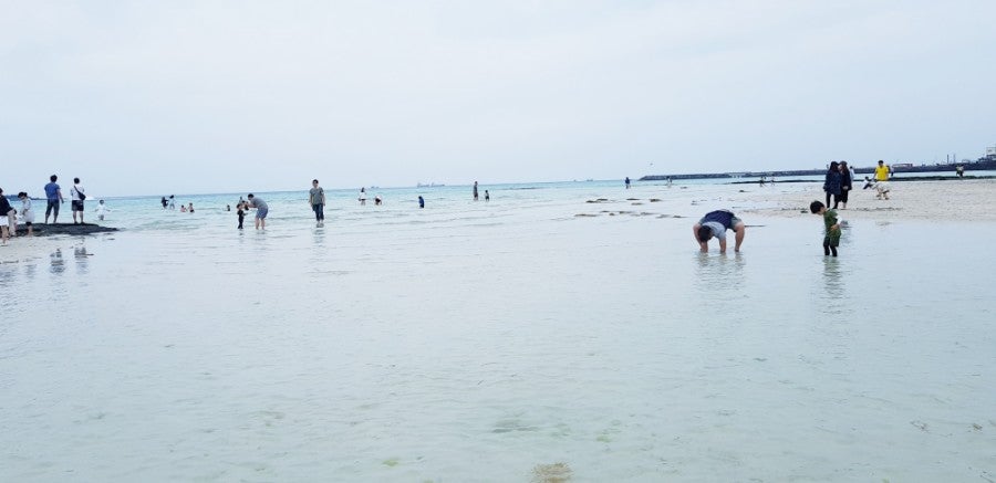 Hyeopjae Beach shoreline in May, photo 8