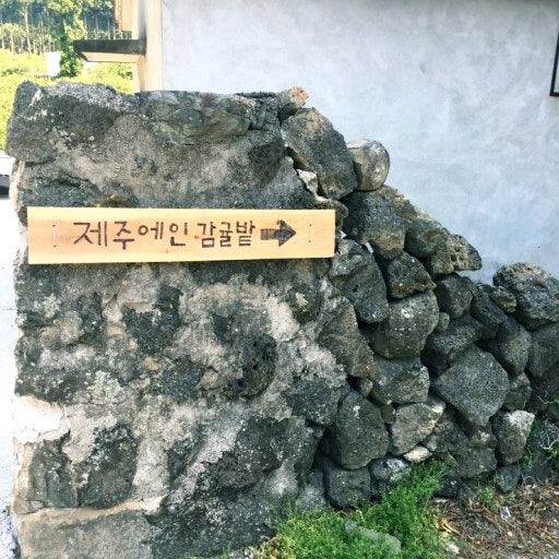제주도 카페